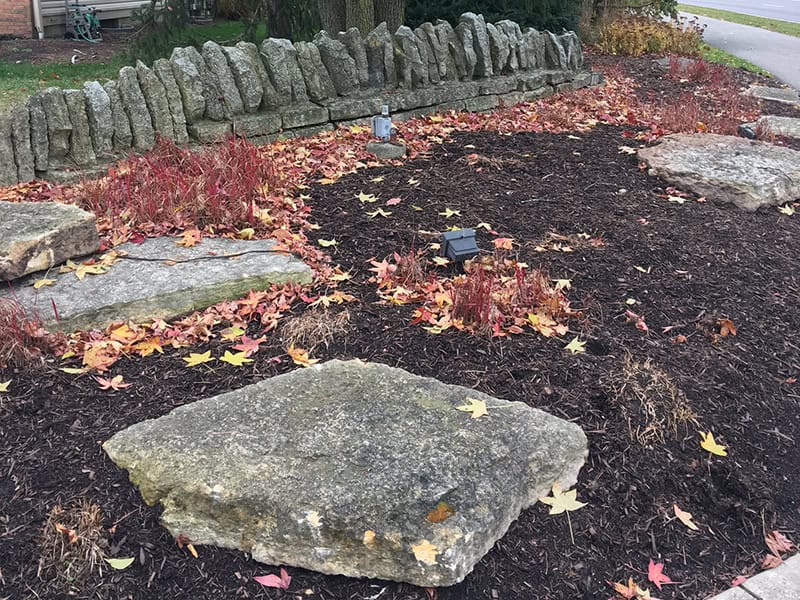 Stone & Concrete Cleaning