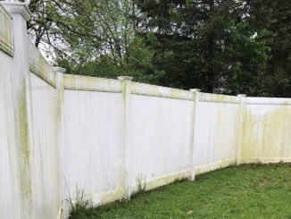 fence cleaning