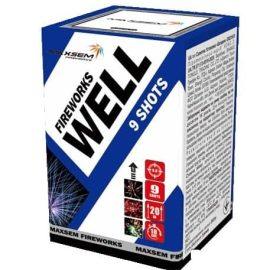 WELL GW218-91