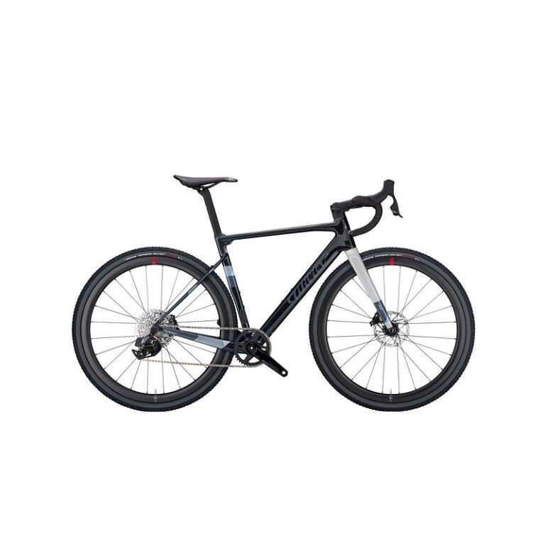 Wilier Rave SL – GRX – NDR38 – 28 Zoll – Diamant – 2024
