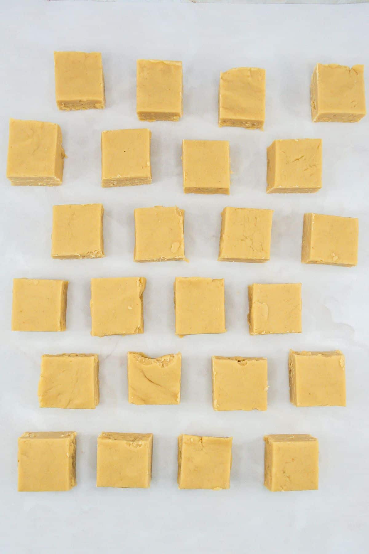 twenty-four sliced peanut butter fudge squares