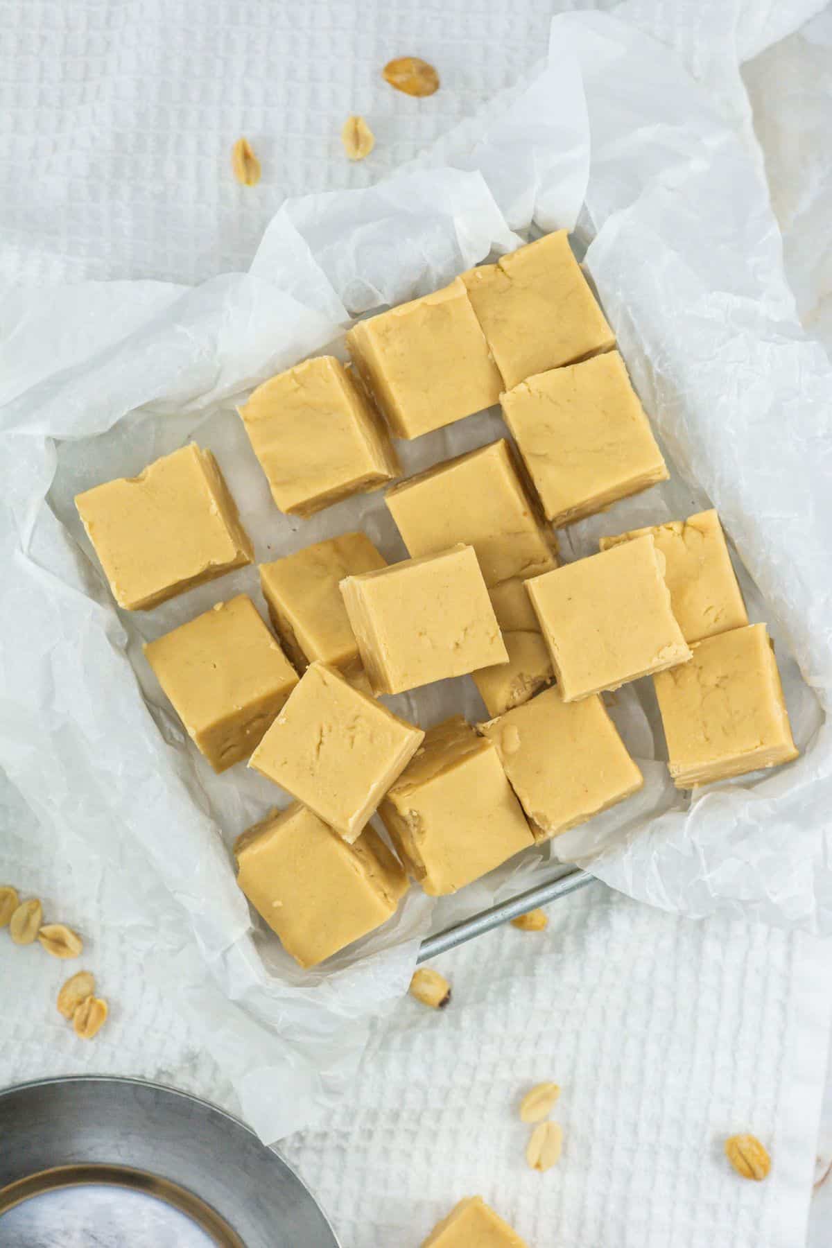 a tray of peanut butter fudge squares