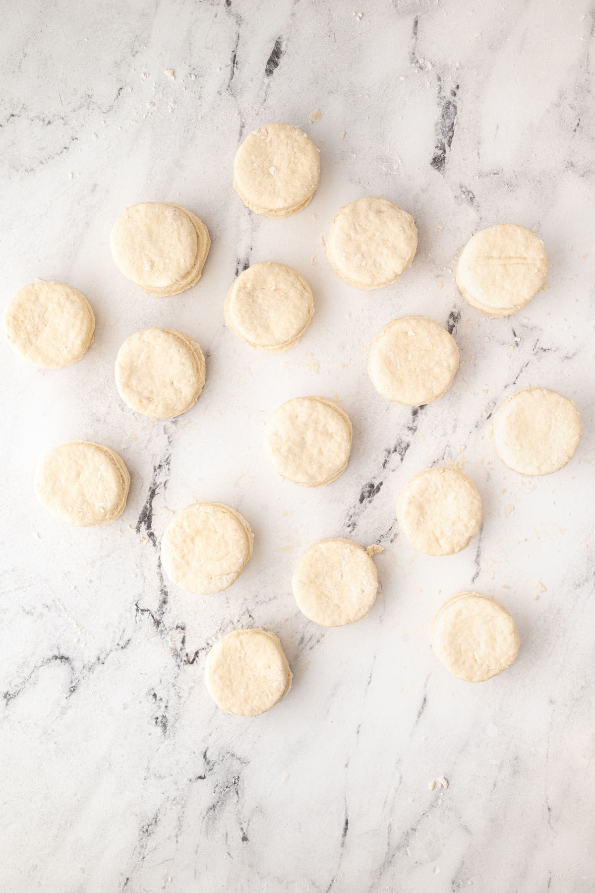 Biscuit rounds spread across a floured surface before baking.
