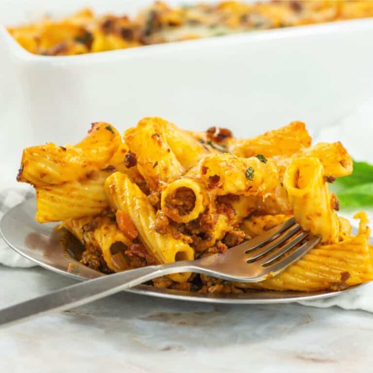 A serving of baked rigatoni coated in rich tomato sauce with melted cheese and herbs.