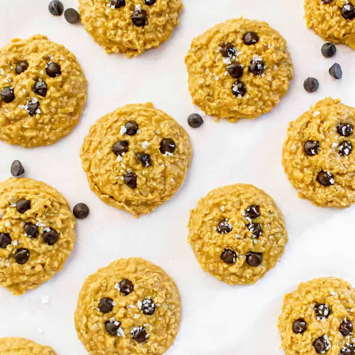 Soft and chewy no-bake butterscotch cookies with chocolate chips and sea salt.