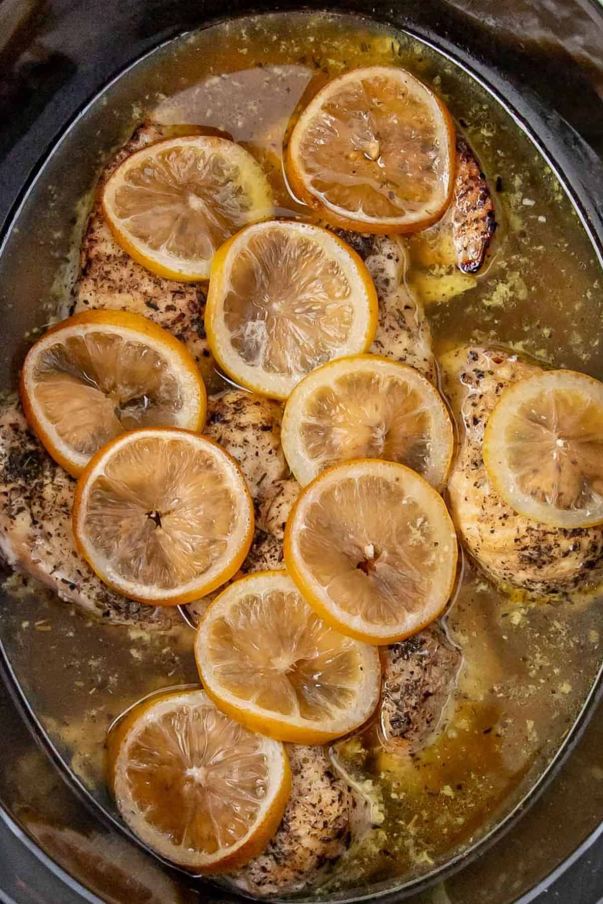Chicken breasts in a slow cooker with slices of lemon resting in a savory, slightly golden broth seasoned with herbs and spices.