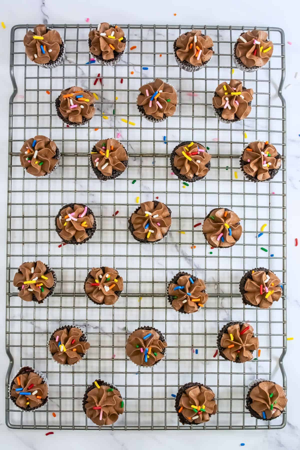 mini chocolate cupcakes with chocolate buttercream frosting on top with sprinkles