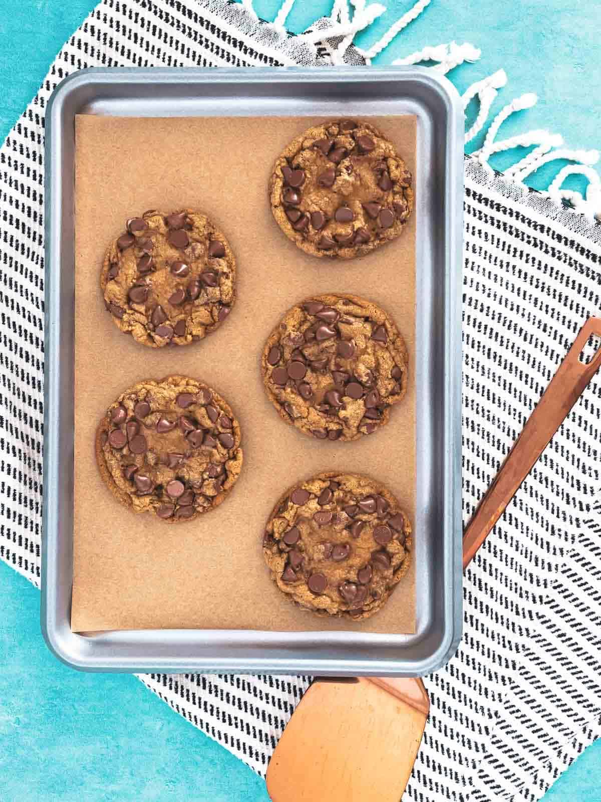 Freshly baked molasses chocolate chip cookies with melty chocolate chips.