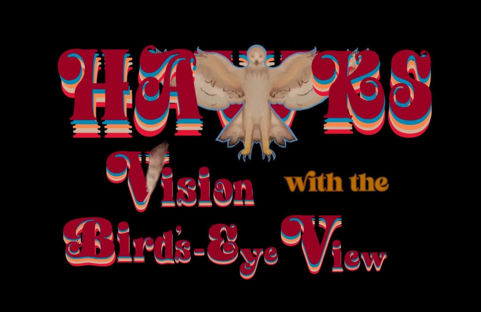 vision