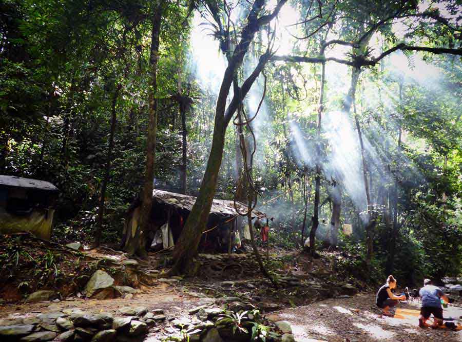 Bukit Lawang Jungle Trekking, Sumatra Orangutan Tour: How to See Bukit Lawang Orangutans 12 Basic yet blissful jungle camp with a glimpse of sunlight in Bukit Lawang, Sumatra