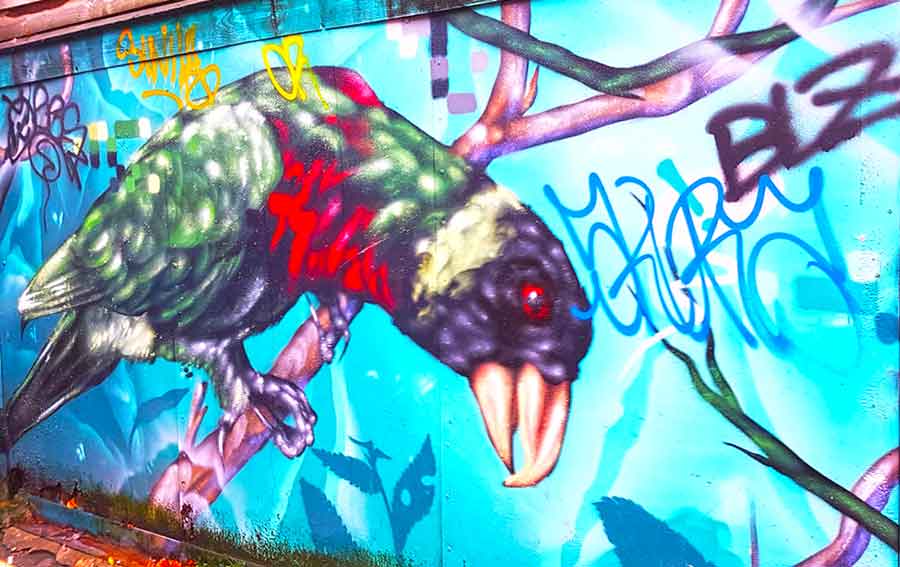 Picton Lane full of colorful murals featuring a large bird painted on a wall
