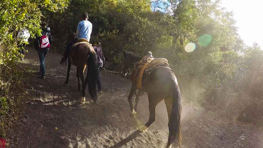 Pacaya Volcano Hike: How to Do the Pacaya Volcano Tour From Antigua, Guatemala 7 Pacaya Volcano Hike: How to Do the Pacaya Volcano Tour From Antigua, Guatemala 7