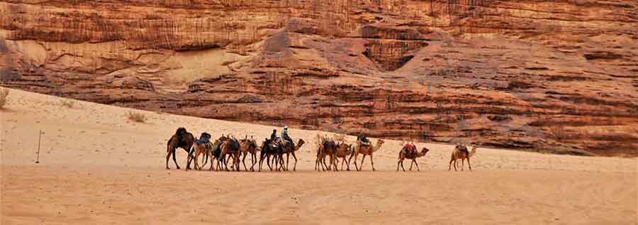 Is a night at a Wadi Rum Camp on your Jordan bucket list? It certainly will be after this. Experience true Bedouin hospitality & life at a Wadi Rum Desert camp. #WadiRum #Jordan #MiddleEast