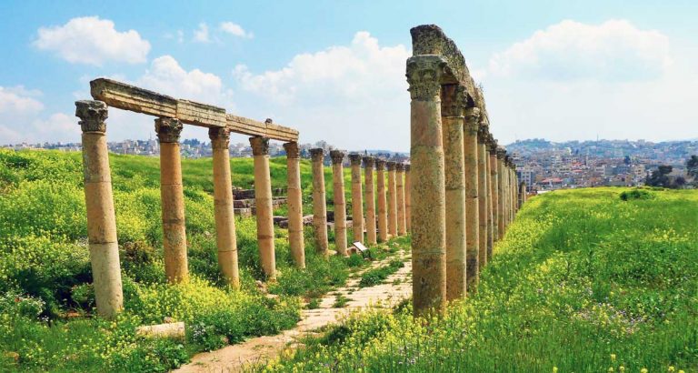 Ruins in Jerash, Jordan, in spring with multiple old columns lined in a row, surrounded by flowers on a sunny day