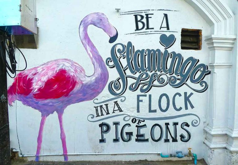 'Be a Flamingo in a flock of Pigeons' mural along Dibuk Road.