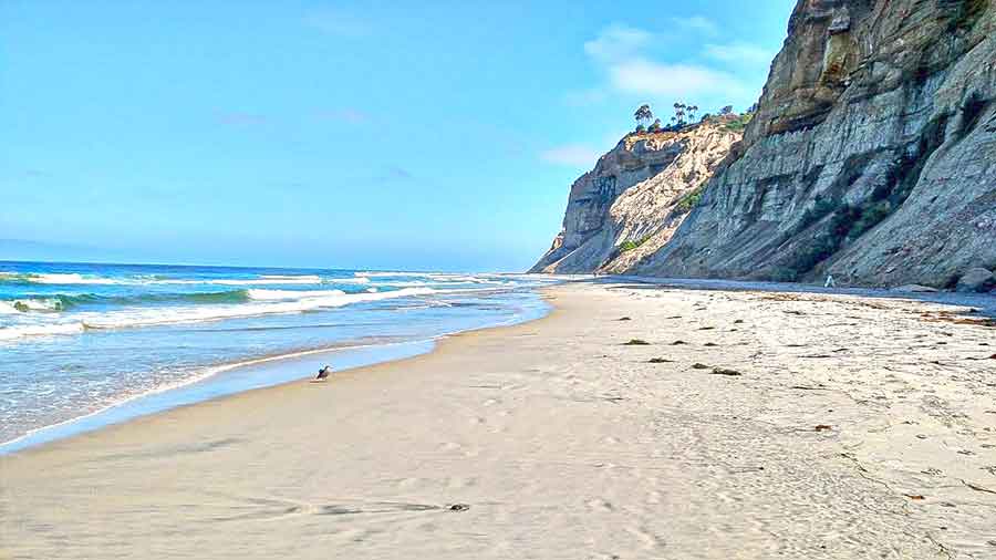 33 Best Hidden Coves and Secluded Beaches Around the World 11 Black's Beach in San Diego with the small waves at the ocean and high steep rock mountain on a sunny day