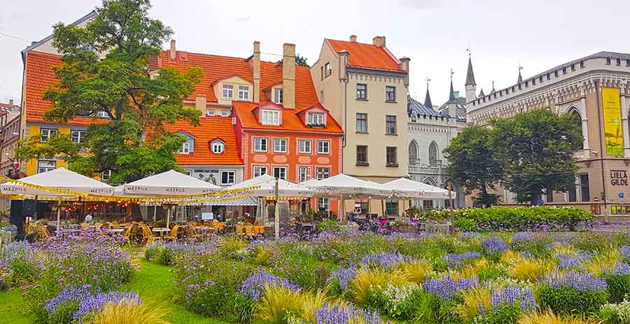 Best Riga 3 Days Itinerary: Exploring ‘Paris of the North’ 8 Livu Square in Riga with flowers in the forground and building in thebackground. There are white umbrealls covering tables.
