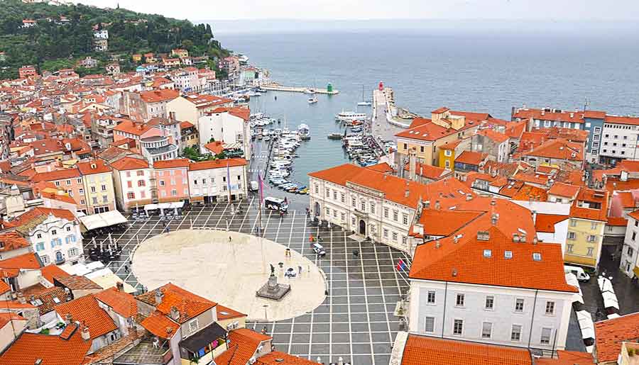 Tartini Square, viewed from the Bell Tower, features red-orange roofed houses, a port, and the sea.