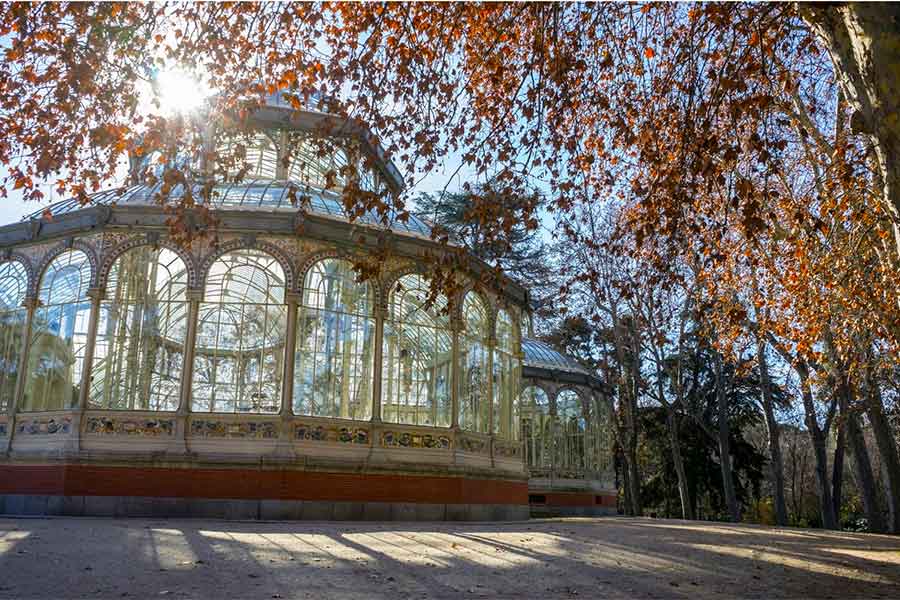 Madrid In Winter: Over 30 Things to Do In Winter in Madrid 1 The Palacio de Crystal in Retiro Park shwoing winter in Madird with the sun shining throigh the glass building and orange leaves on the trees.