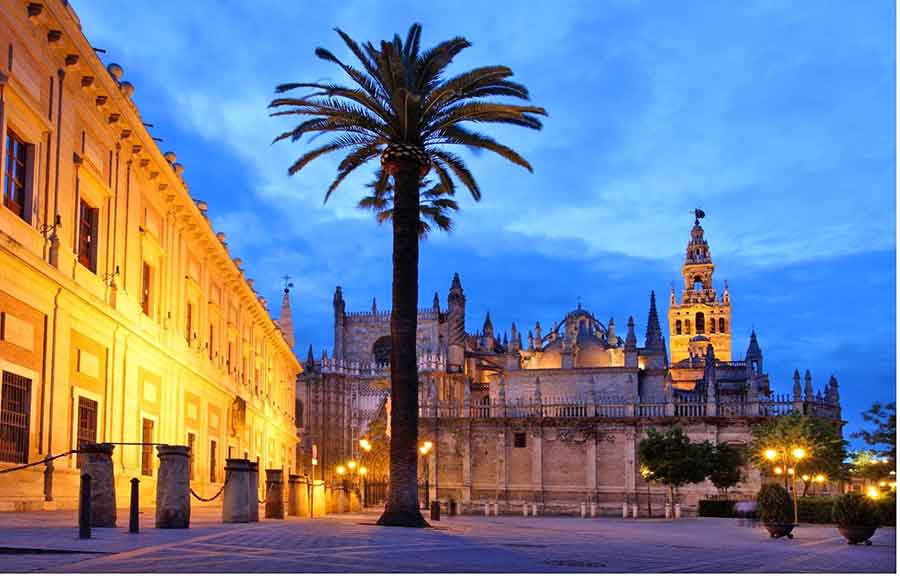 Seville Cathedral at dusk with a palm tree in the forground. 