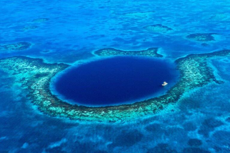 Dive Belize Blue Hole, is it REALLY worth it? + Belize Blue Hole Diving Requirements