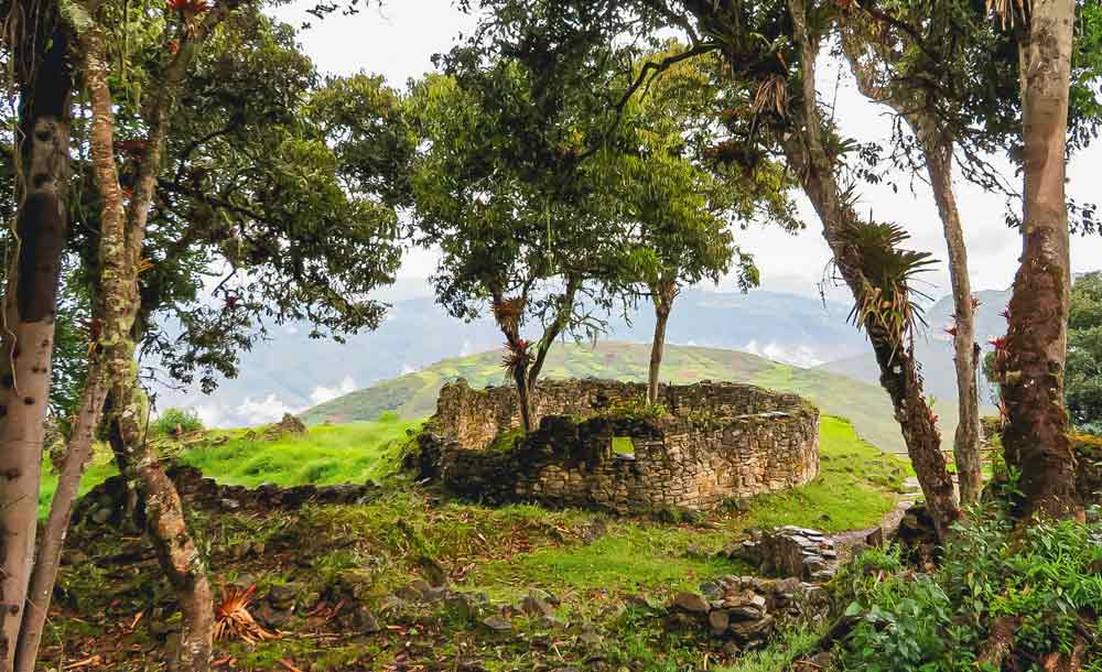 Small circular wall surrounding a tree at Kuelap Ruins with more trees and a hilly grassy surrounding. 