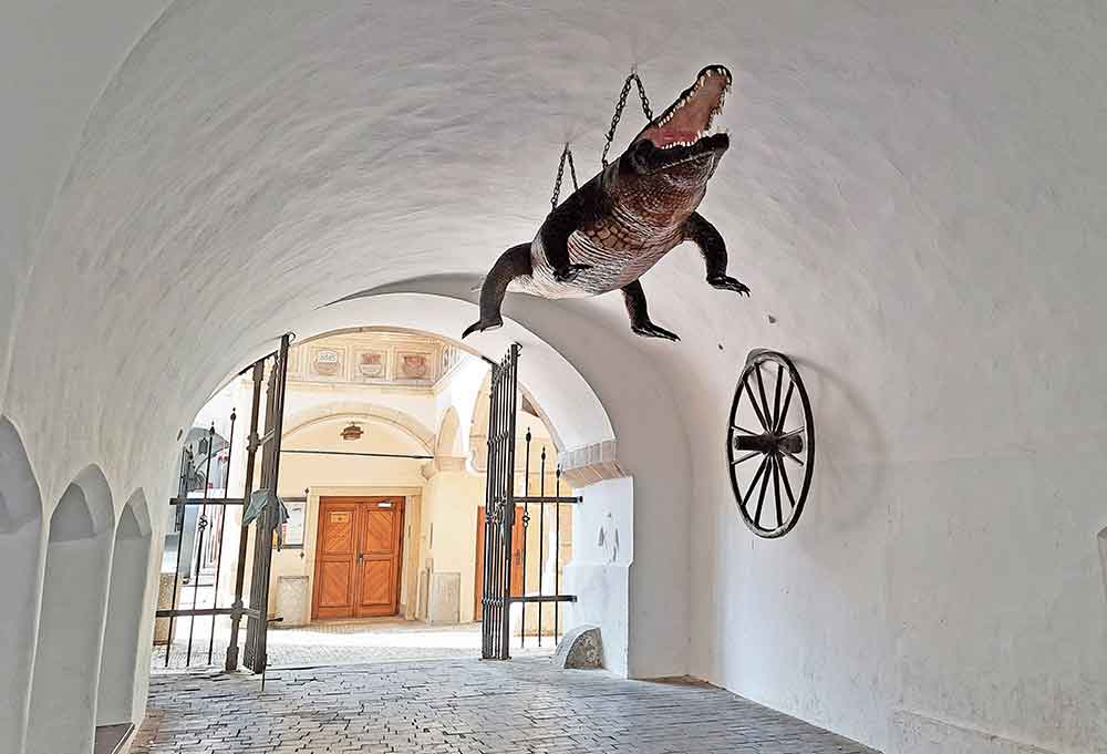 The famous Brno dragon hanging from the ceiling of an arched tunnel.