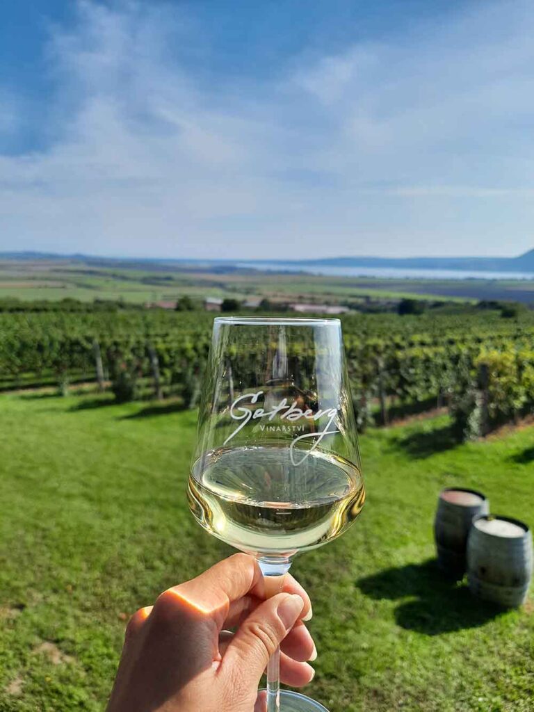 How To Visit 3 Vineyards Near Brno On An Easy Self-Guided Wine Tour, Czech Republic 11 A glass of white wine at Gotberg and the vines in the background.