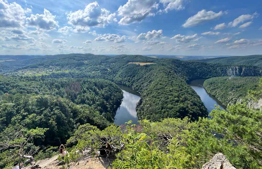 Horseshoe Point with a meandering river and trees.