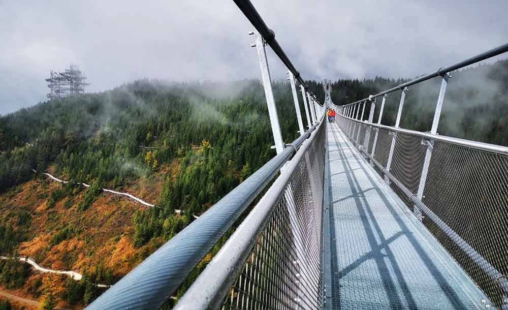 Sky Bridge 271 crossing a valley with pine trees and clouds in the distance. 