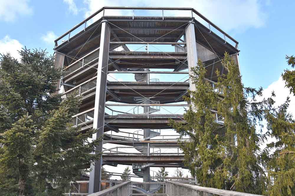 A spiralling structure in silver and wood in the forest for the treetop walkway at Lipno. 
