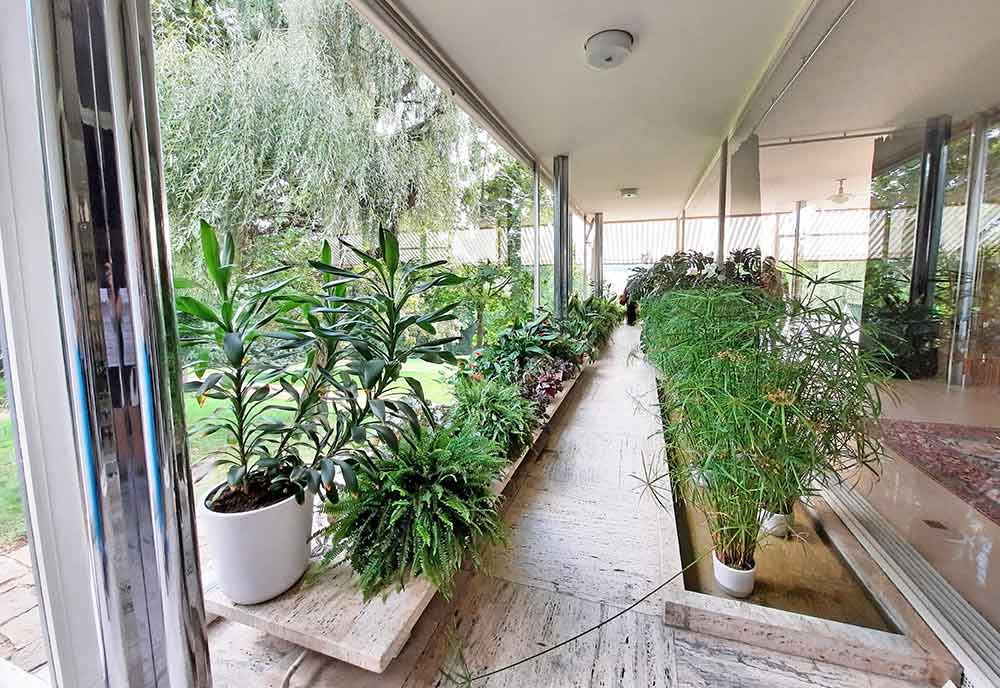 The greenhouse at Tugendhat Villa with glass windows on two sides and a row of plants. 