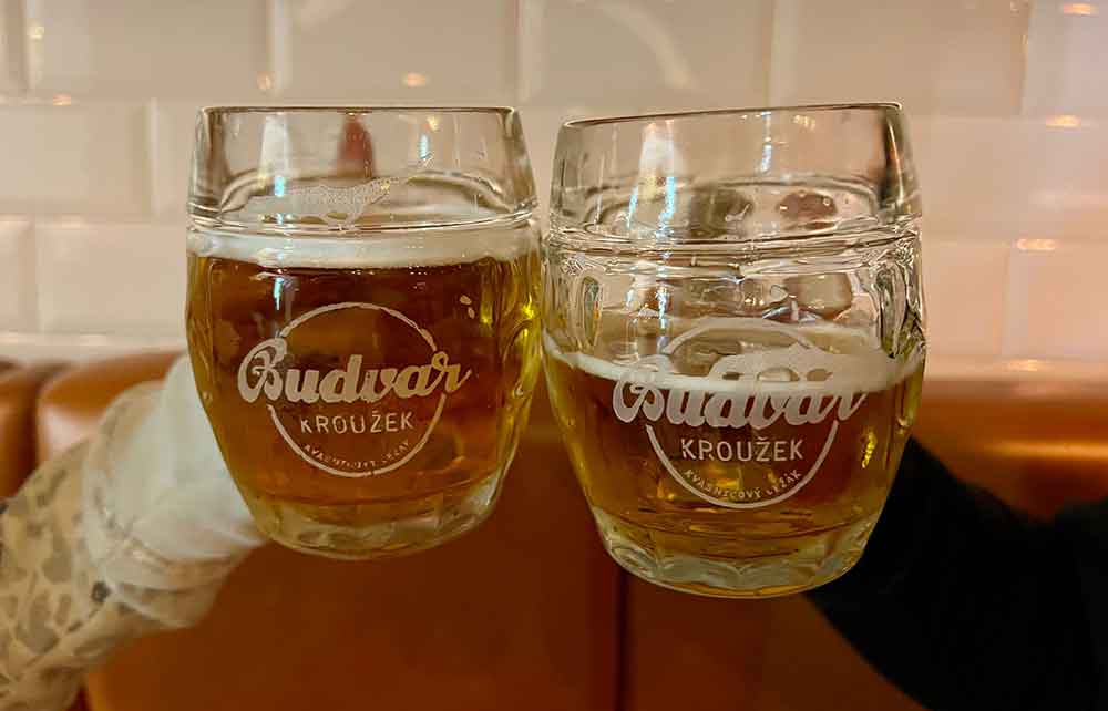 Two large Budvar beer clases doing cheers!