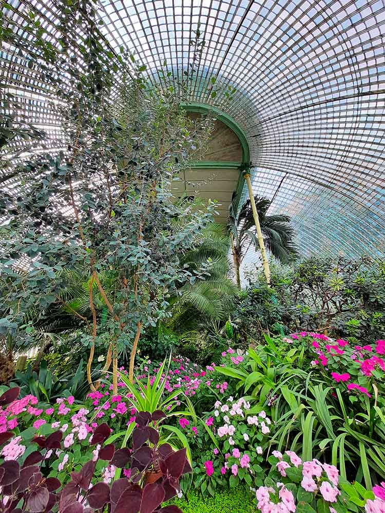 Inside the greenhouse at Lednice lookingup at the roof with plants and flowers.