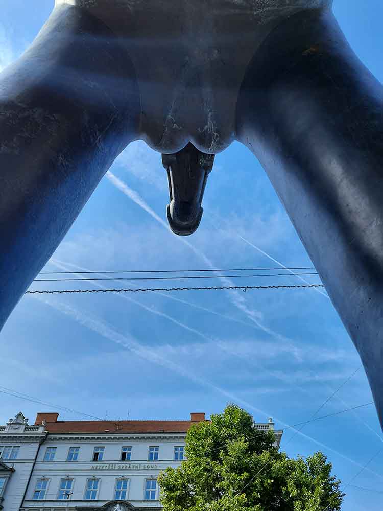 The view looking up from under the house. Some say it's mischievous and stand here and giggle. 