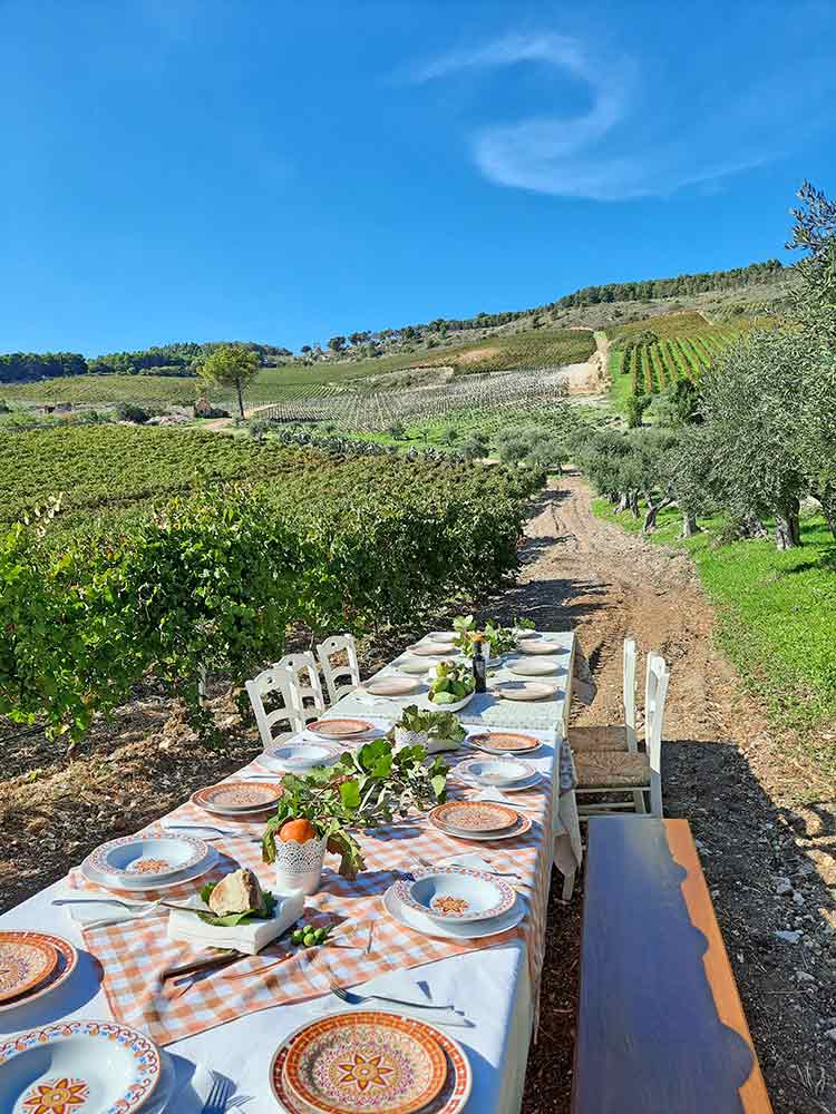 A long table in a vinyard with orange plates and plants on it.