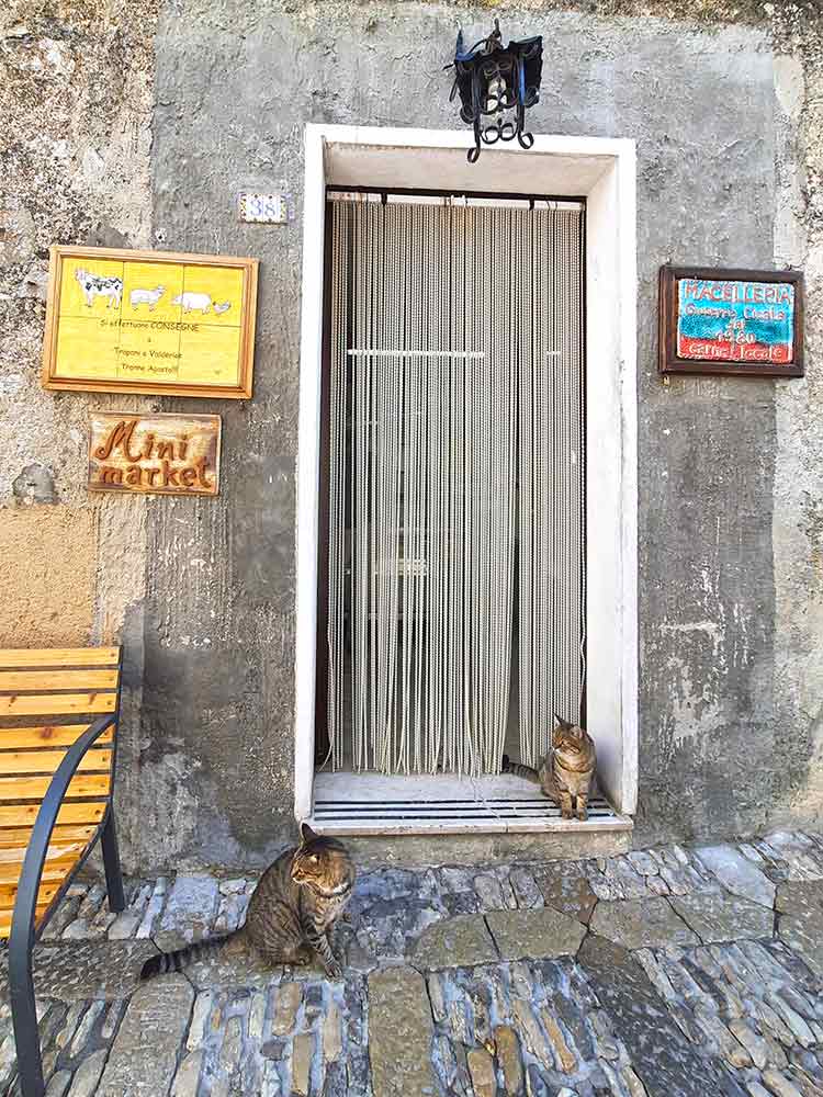 Erice, Sicily A grey tabby cat sitting on a worn cobblestone lane in Erice, Sicily, beside a terracotta plant pot and weathered stone walls. The quiet scene captures the simple charm of life under winter sun in Europe.