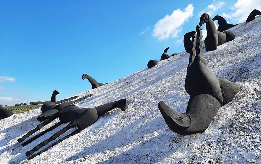 A giant installation in a hillside of giant black horses tumbling down a mound of salt. 