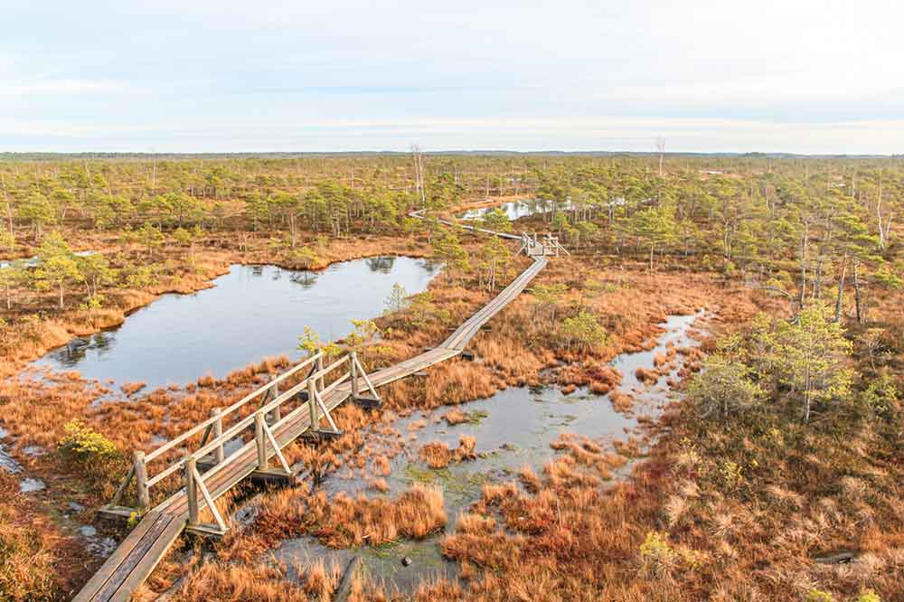 Best Of The Baltics: 23 Unmissable Things To Do In The Baltics 11 Kemeri National Park features bog and wetland with a wooden walkways to explore the park