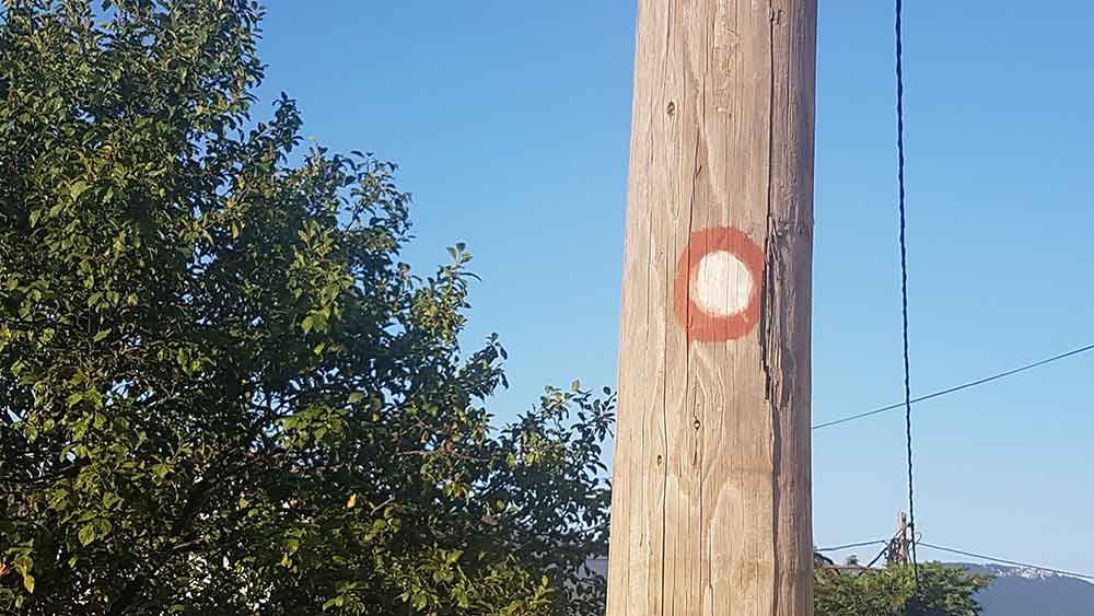 The red and white trail markings in a post with a trees on the background