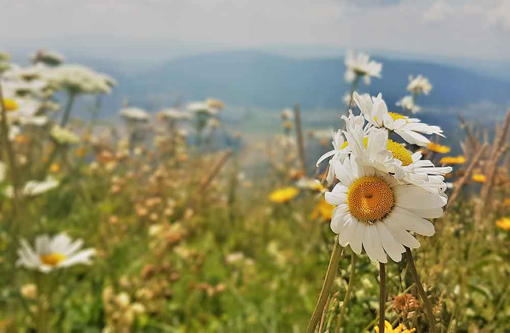 The Pljesevica Mountain Trek: On Top Of The World In The Croatian Mountains! 2