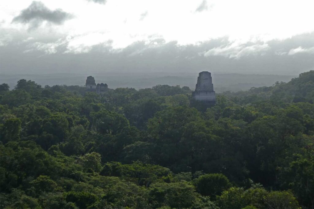 Tikal sunrise tour with the early morning mist over the jungle 