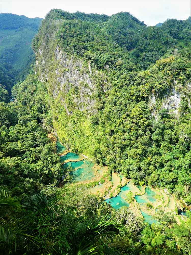 Semuc Champey Cascade features a high cliff adorned with green trees, and in the middle, turquoise water flows, creating a stunning and picturesque natural wonder
