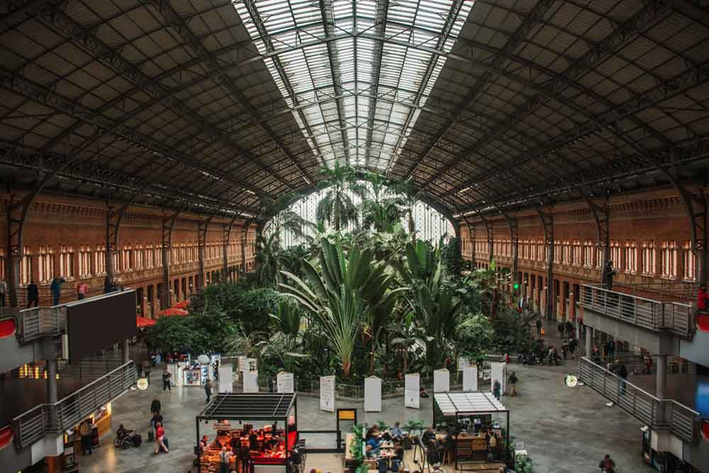 Atocha Station features a breathtaking sight of lush greenery plants and trees in the main hall of the station