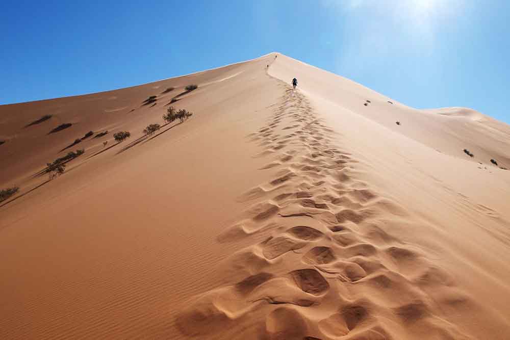 Erg Chebbi Sand Dunes with its deep brown color sand on a sunny day
