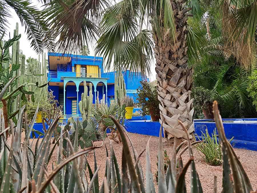 The Majorelle Gardens in Marrakech with a vibrant blue building surrounded by palm trees and gardens. 