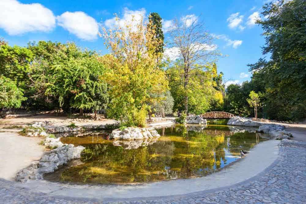 In the heart of the National Gardens of Athens lies a serene pond, enveloped by lush green trees, all under the expanse of a clear blue sky

