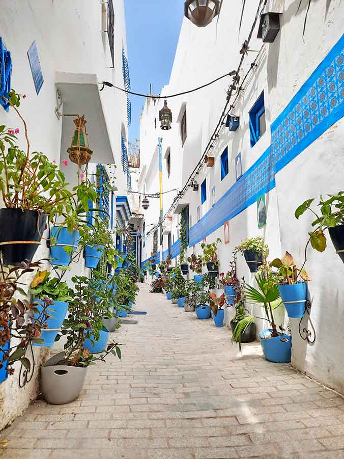 Streets in Tangier Medina Narro streets inside Tangier medina with white and blue walls filled with flowers.