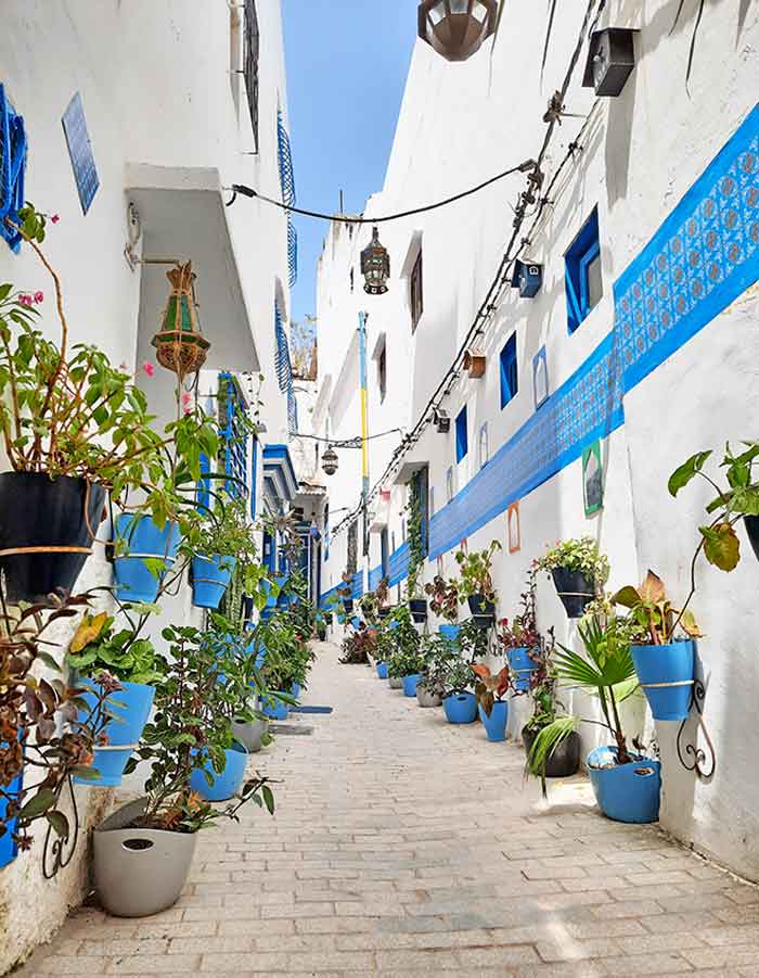 Delightful white-blue themed streets in Tangier featuring a charming blue-themed potted and hanging plants in the streets