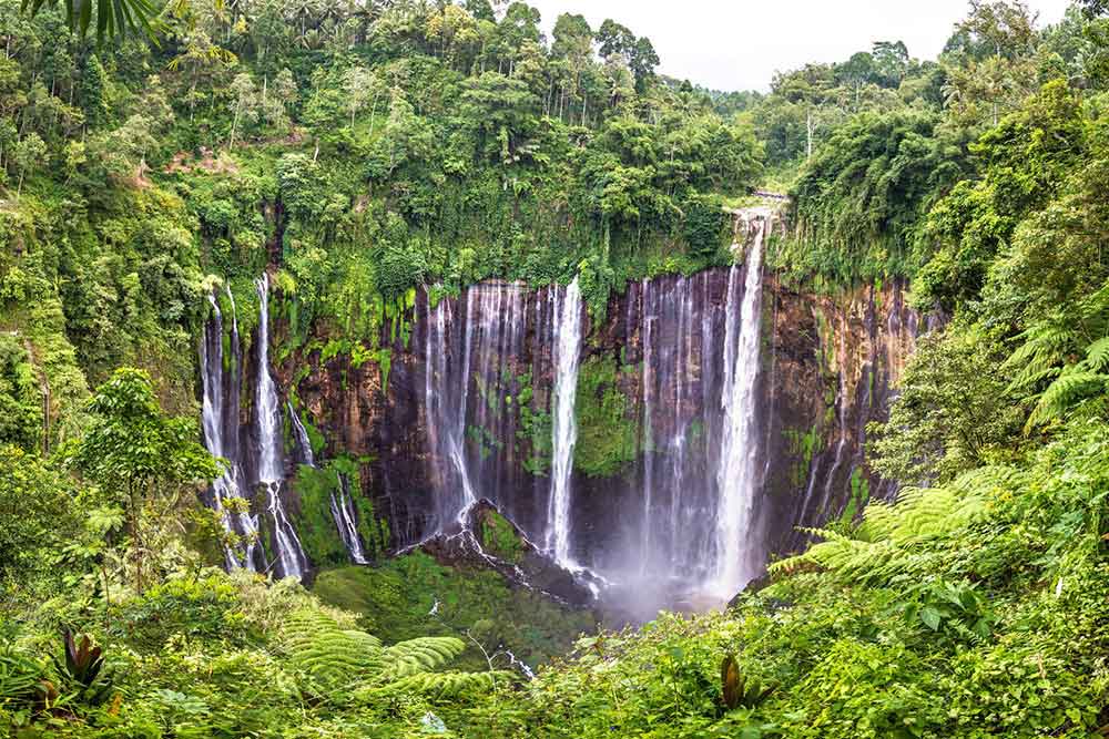 Tumpak Sewu Waterfall in East Java showcases a waterfalls flowing down from green cliffs like a giant curtain